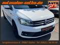 Volkswagen Caddy 1.4 TSI Maxi 7-Sitzer NAVI+APPS SHZ PDC LM Blanc - thumbnail 23