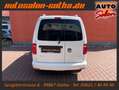 Volkswagen Caddy 1.4 TSI Maxi 7-Sitzer NAVI+APPS SHZ PDC LM Blanc - thumbnail 5