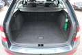 Skoda Octavia Ambition 4x4 // 1.Besitz // Ahk // Sitzheizung Grau - thumbnail 13