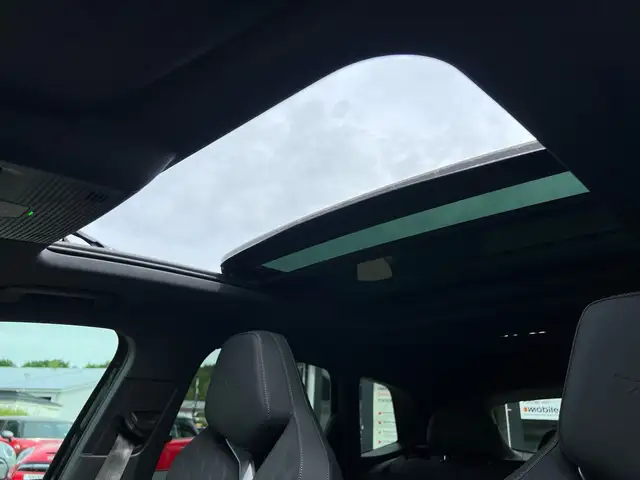 Cupra Terramar view 14