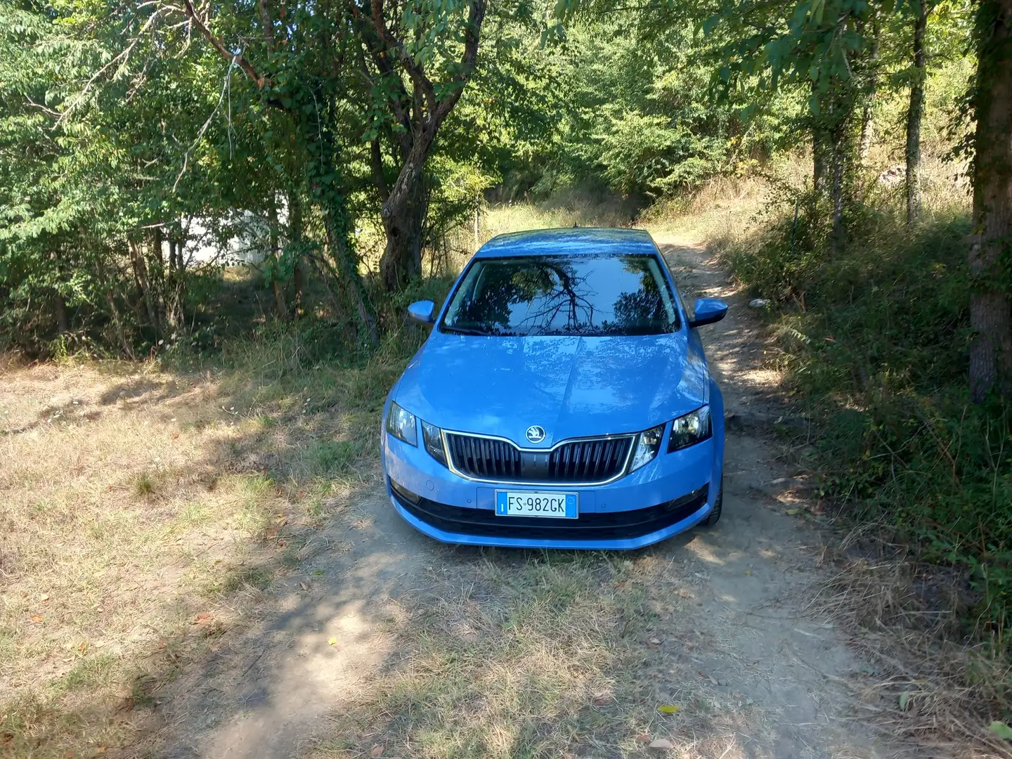 Skoda Octavia Octavia III 2017 Berlina 2.0 tdi RS 184cv dsg Blu/Azzurro - 2