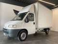 Fiat DUCATO 2.5D FURGONE 35q *FASCE DA RIFARE* Wit - thumbnail 4