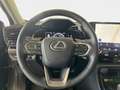 Lexus NX 350h Executive 2WD Grün - thumbnail 10