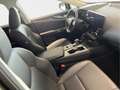 Lexus NX 350h Executive 2WD Grün - thumbnail 6