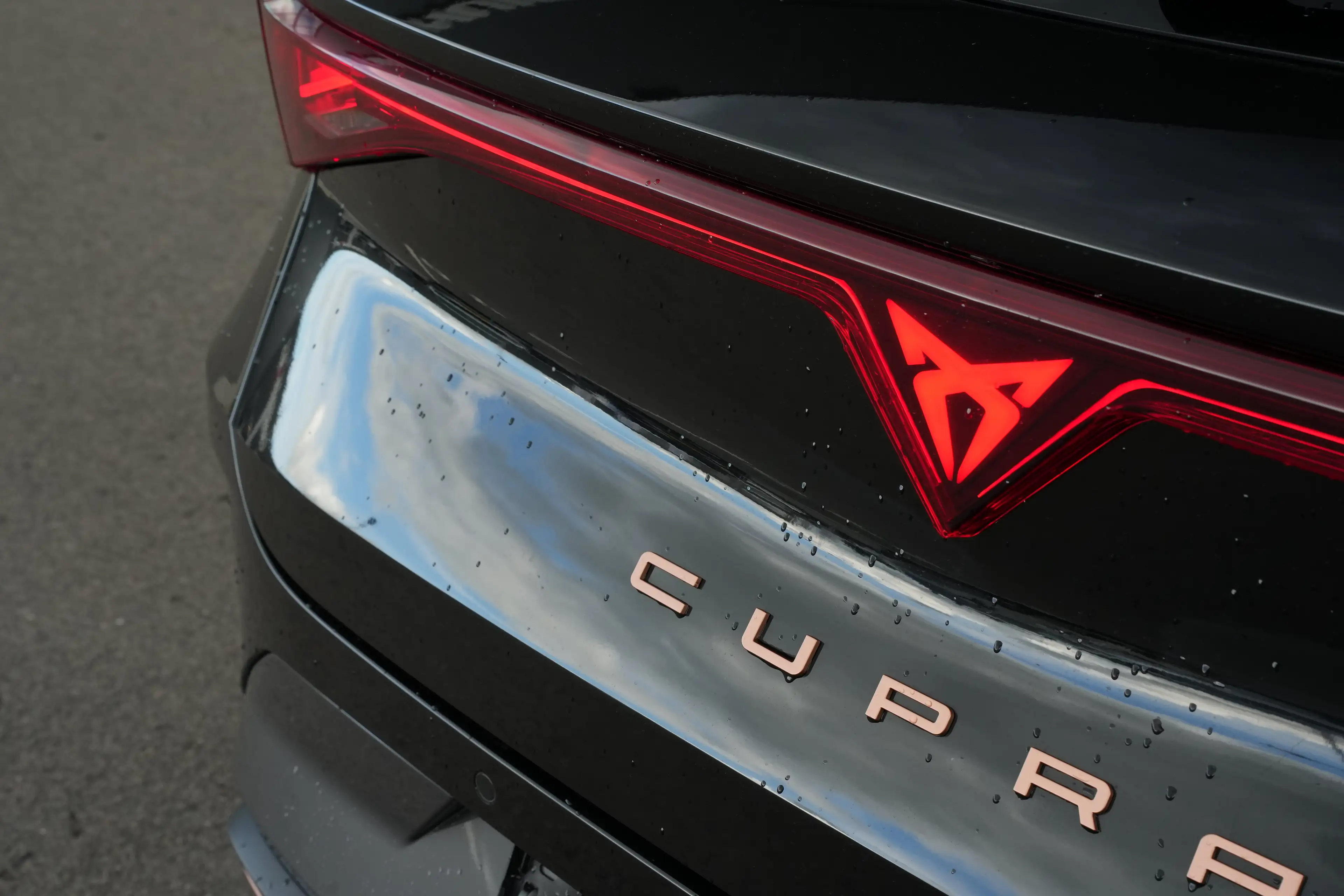CUPRA Leon Sportstourer 1.5 TSI e-Hybrid 204pk Business | Pan — photo 15