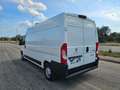 Peugeot Boxer 335 2.2 BlueHDi 140CV S&S L3H2 FRIGO ZANOTTI 0°C Blanco - thumbnail 13