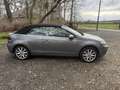 Volkswagen Golf Cabriolet Golf Cabriolet 1.4 TSI DSG Grau - thumbnail 20