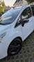 Ford B-Max B-MAX 1.0 EcoBoost Colourline Blanc - thumbnail 6