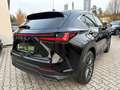 Lexus NX 450h+ Plug-in Executive Line 360°Kamera, SHZ Чорний - thumbnail 4