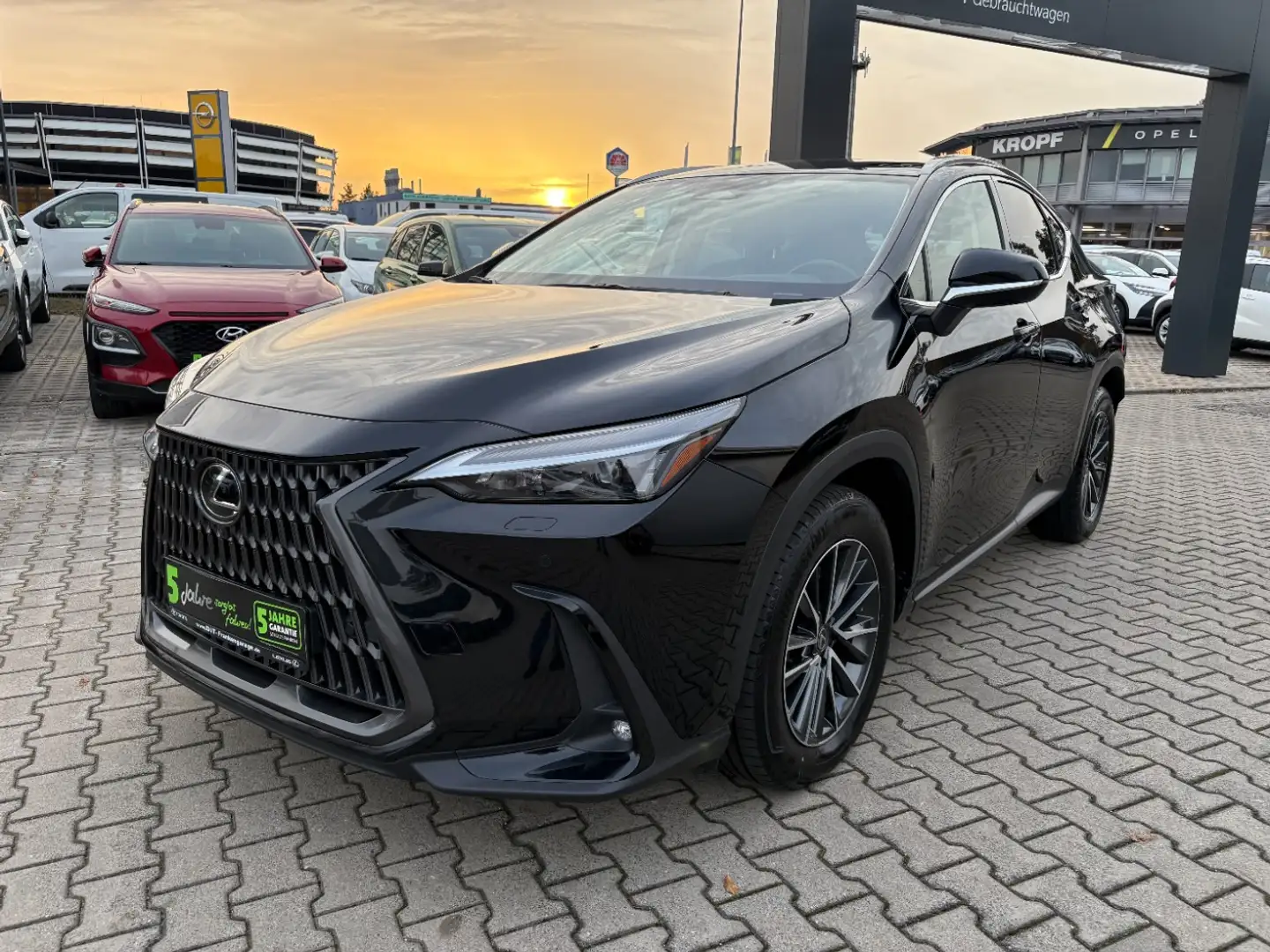 Lexus NX 450h+ Plug-in Executive Line 360°Kamera, SHZ Чорний - 2