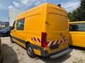 Mercedes-Benz Sprinter 316 CDI Mixto / Doka Kasten L2H2 Gelb - thumbnail 4