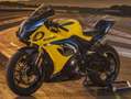 Suzuki GSX-R 1000 40th Anniversary Edition - ab sofort bestellbar Amarillo - thumbnail 1