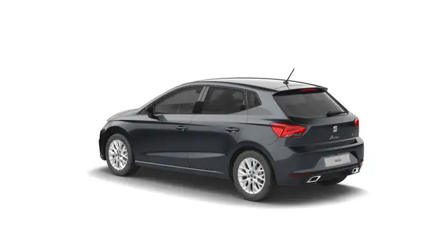 Seat Ibiza view 5