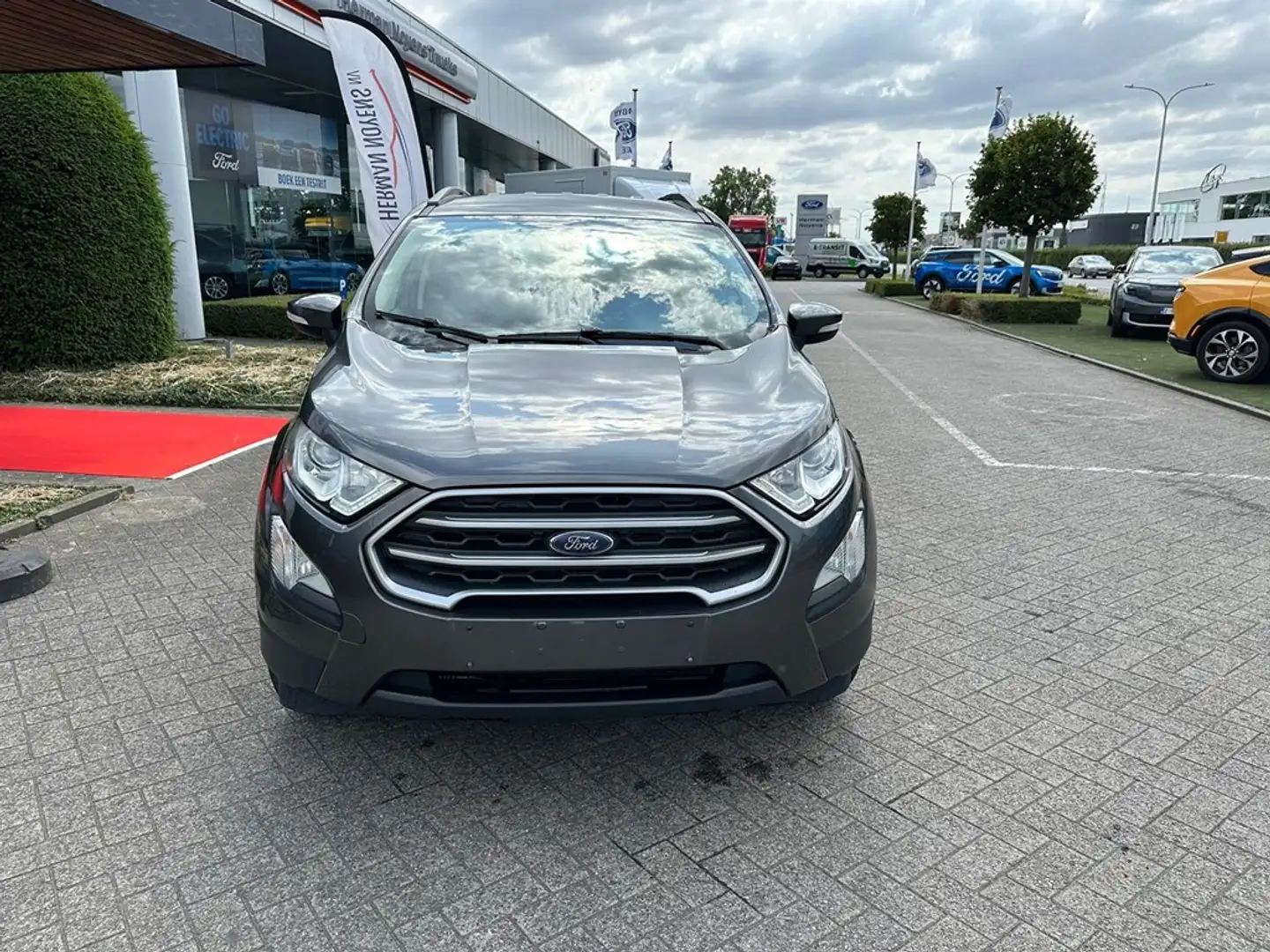 Ford EcoSport Gris - 2