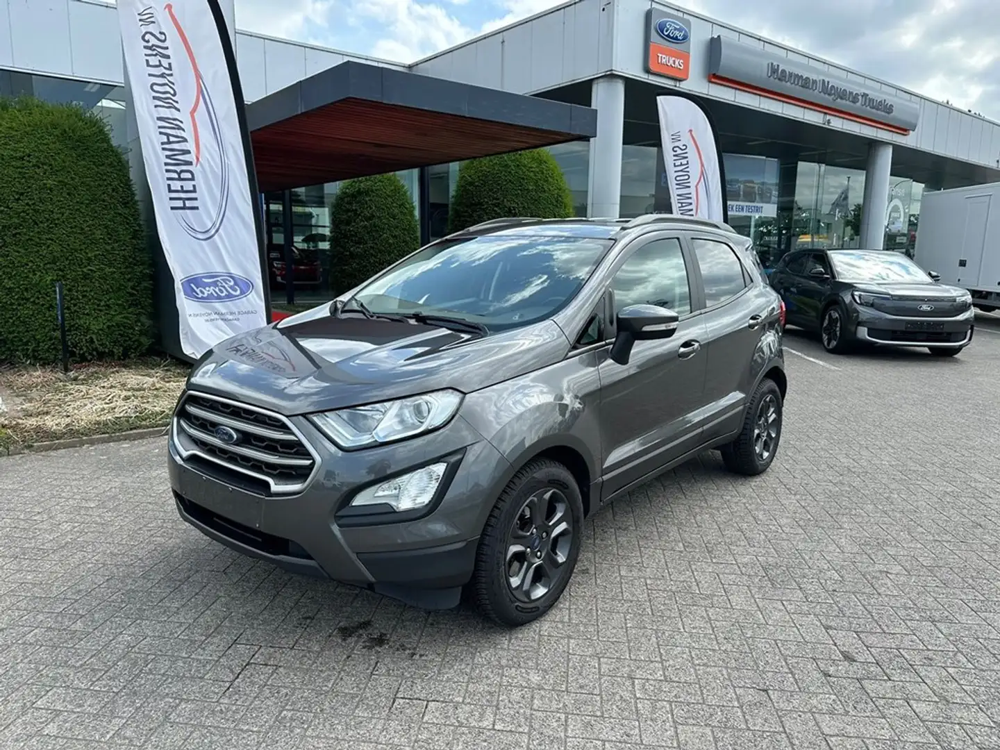 Ford EcoSport Gris - 1