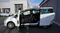 Ford B-Max Trend 1,0 EcoBoost Start/Stop Blanco - thumbnail 5