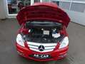Mercedes-Benz B 200 B-Klasse Klima Xenon Navi Sitzheizung Einparkhilfe Rojo - thumbnail 8