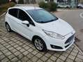 Ford Fiesta Fiesta VI 2013 5p 1.5 tdci 95cv Bianco - thumbnail 4