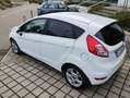 Ford Fiesta Fiesta VI 2013 5p 1.5 tdci 95cv Bianco - thumbnail 3