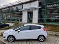 Ford Fiesta Fiesta VI 2013 5p 1.5 tdci 95cv Bianco - thumbnail 1