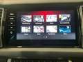 Skoda Kodiaq RS+DSG+4x4+AHK Gris - thumbnail 20