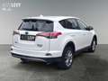 Toyota RAV 4 RAV4 2.5 Hybrid Team D *LHZ*SHZ*ALLWETTER* Weiß - thumbnail 6