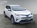 Toyota RAV 4 RAV4 2.5 Hybrid Team D *LHZ*SHZ*ALLWETTER* Weiß - thumbnail 8