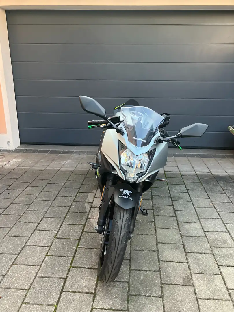 Kawasaki Ninja 125 Argintiu - 1