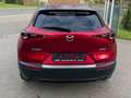 Mazda CX-30 L SKYACTIV-G 2.0 150PS M Hybrid 6AG AL-SEL Rot - thumbnail 6