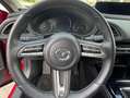 Mazda CX-30 L SKYACTIV-G 2.0 150PS M Hybrid 6AG AL-SEL Rot - thumbnail 15