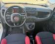Fiat Panda 1.2 69Ch S/S Blanc - thumbnail 4
