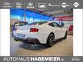 Ford Mustang MUSTANG GT MAGNERIDE >>13.000 EUR RABATT<< Weiß - thumbnail 4