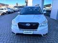 Subaru Forester Forester 2.0D Trend Blanc - thumbnail 2