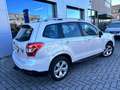Subaru Forester Forester 2.0D Trend Blanc - thumbnail 4