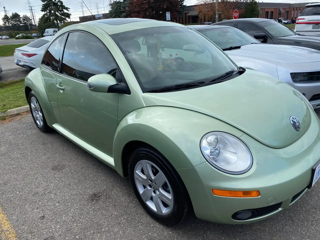 Volkswagen Beetle photo Volkswagen Beetle