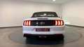 Ford Mustang gt cabriolet 5.0 v8 bva10 Wit - thumbnail 6