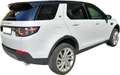 Land Rover Discovery Sport 2.2 140Kw 190cv sd4 AWD Automatico Euro5B - FAP Bianco - thumbnail 5