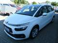 Citroen Grand C4 Picasso C4 SpaceTourer // 1.Hd. Scheckh. AHK., Sitzh., Wit - thumbnail 7