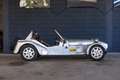 Lotus - thumbnail 7