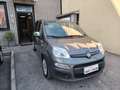 Fiat Panda 1.0 FireFly S&S Hybrid NEOPATENTATI - PREZZO REALE Grau - thumbnail 2