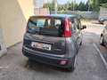 Fiat Panda 1.0 FireFly S&S Hybrid NEOPATENTATI - PREZZO REALE Grau - thumbnail 10