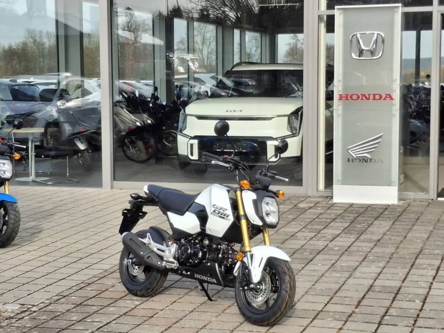 Honda MSX 125 MSX 125 Grom Weiß - 1
