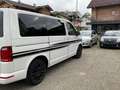 Volkswagen T6 Kombi Kombi EcoProfi Weiß - thumbnail 3