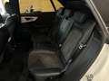 Audi Q8 50 TDI quattro tiptronic Blanco - thumbnail 18