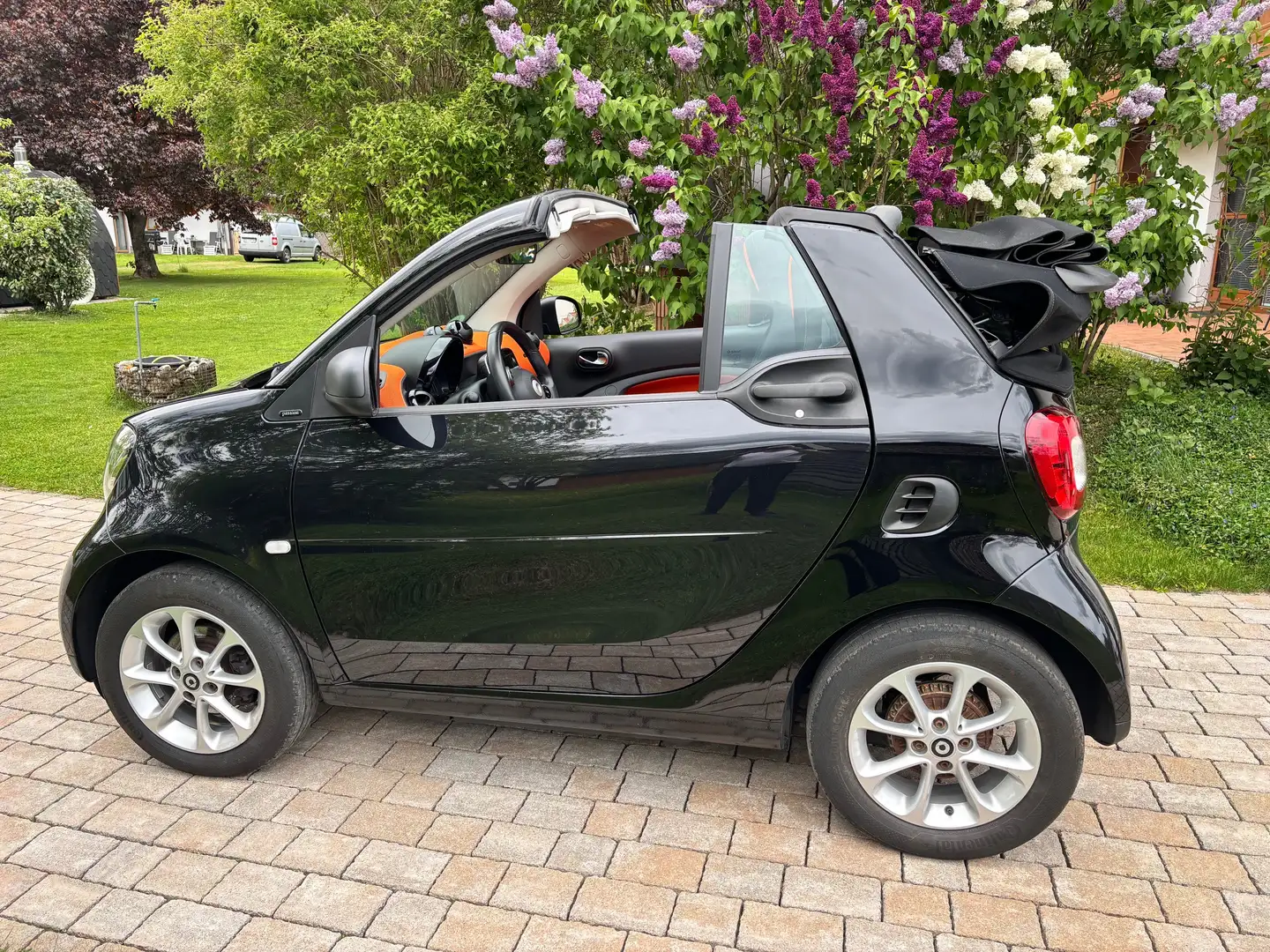 smart city-coupé/city-cabrio Passion - 2