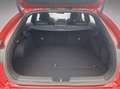 Kia ProCeed / pro_cee'd PROCEED GT-LINE UVO 1.5 TGDI 48V DCT7 Rot - thumbnail 19