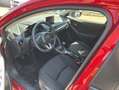 Mazda 2 Rot - thumbnail 12