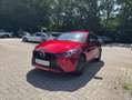 Mazda 2 Rot - thumbnail 1