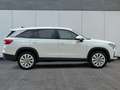 Skoda Kodiaq Selection DSG+AHK+NAVI+19'' ALU+ACC+KAMERA 1.5T... Weiß - thumbnail 5