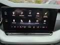 Skoda Octavia Combi 2.0 TDI DPF Automat.  Kamera Pano ACC SHZ St Grijs - thumbnail 21